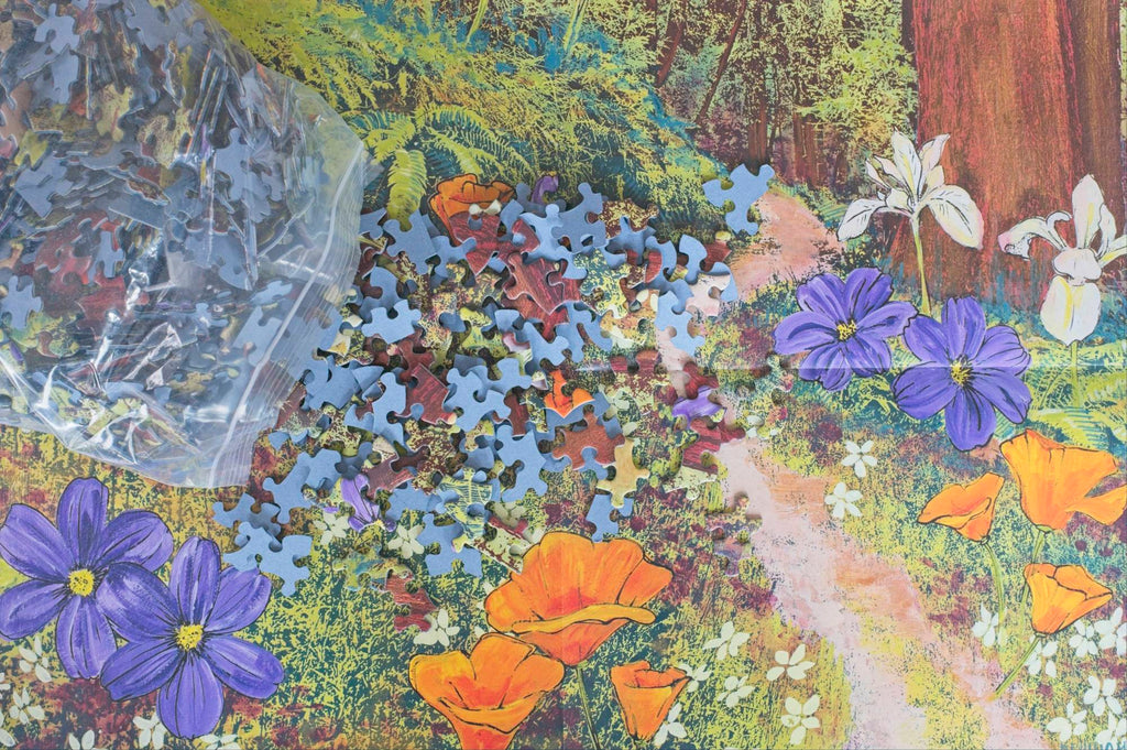 Golden Beams in Redwoods Puzzle – 1000 Pieces of California Forest Art by Hilary Williams