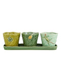 SET OF 3 TERRESTRIAL INSECT Flower/Herb Pots