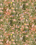 Cali Flowers Wallpaper, peachy green