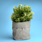 Paper Bag Succulent Planter Pot