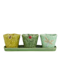 SET OF 3 TERRESTRIAL INSECT Flower/Herb Pots